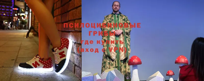 omg маркетплейс  Рославль  Псилоцибиновые грибы мухоморы  закладка 